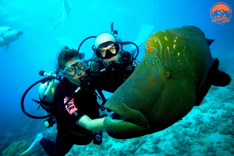 Fethiye: Discover the Underwater World Experience