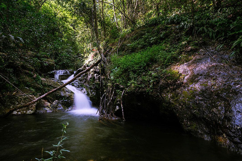 Phnom Penh: 4-Day Trekking&Camping Adventure at Phnom Tompor Weekend Only