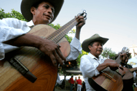 Flowers Route Tour-Colonial Towns & Handicraft. - Housity