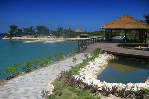 Montego Bay: Dolphin Cove Tickets