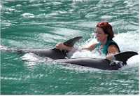 Nuota con i delfini al Dolphin Cove di Negril