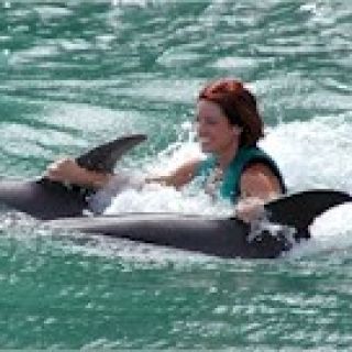 Swim with the Dolphins at Negril's Dolphin Cove