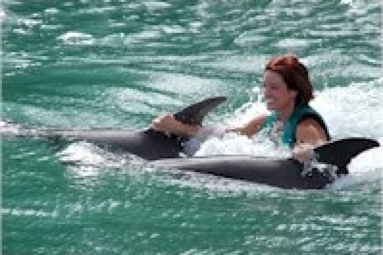 Nade con los delfines en Dolphin Cove de NegrilNadar con los delfines en Dolphin Cove Negril