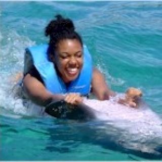 Dolphin Cove Negril Full-Day Admission with Dolphin Swim