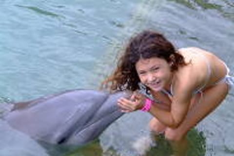 Touch Encounter with the Dolphins at Dolphin Cove Negril