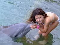 Touch Encounter with the Dolphins at Dolphin Cove Negril