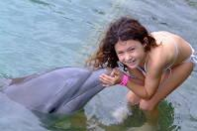 Touchez Rencontre avec les dauphins à Dolphin Cove Negril