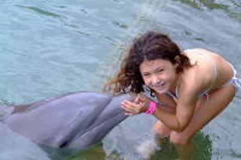 Touch Encounter with the Dolphins at Dolphin Cove Negril
