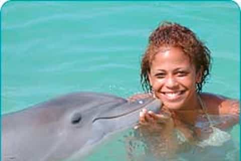 Dolphin Swim Encounter – Dolphin Cove, Ocho Rios, Jamaica