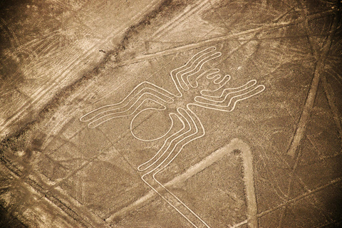 Esplorare le antiche linee di Nazca dal cielo | intera giornata |