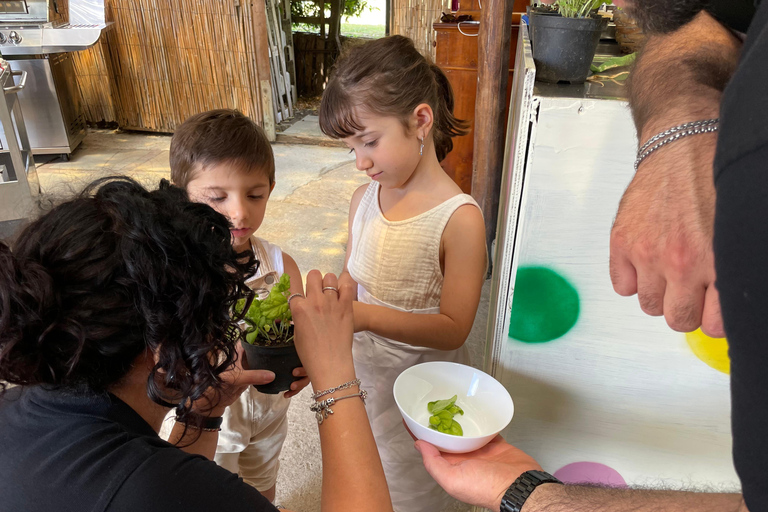 Positano: Cooking class and tasting with a view of Li Galli Positano: Cooking class and tasting with a view of the Li Galli