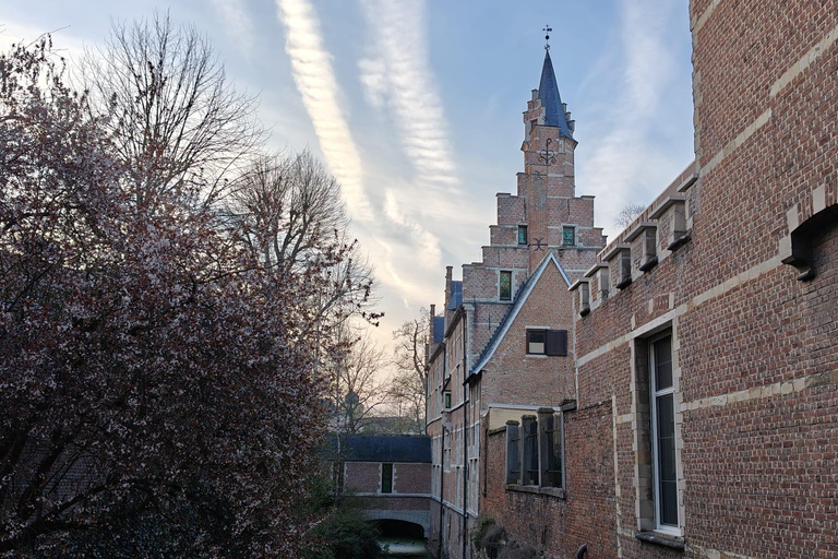 Mechelen: Guided Walking Tour with Local Guide