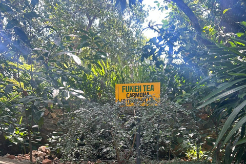 Kandy: Tuk-Tuk Sights, Culture, Shopping & Treatment