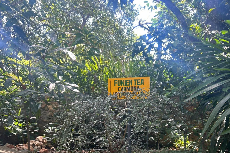 Kandy: Tuk-Tuk Sights, Culture, Shopping & Treatment