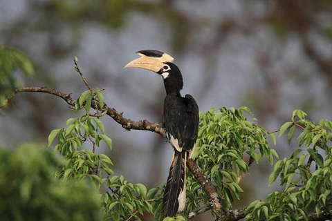 Wilpattu National Park Private Safari with Pickup & Drop Pick up & drop off Colombo City Area