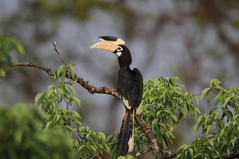 Wilpattu National Park Private Safari with Pickup & Drop Pick up & drop off Colombo City Area