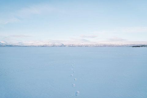 Abisko: Schneemobil-Schlittenexpedition mit Snack und heißem Getränk