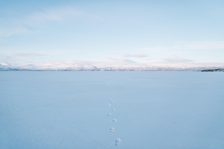 Abisko Expedición en trineo de nieve con merienda y bebida caliente