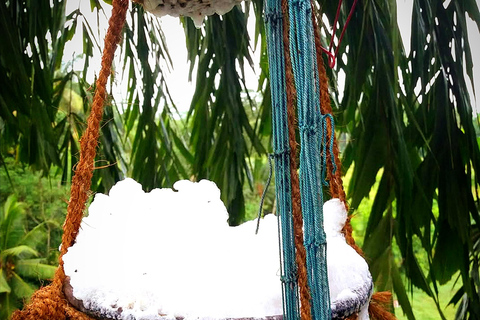 UNESCO Kitul Production Program Tour in a Kandy Village