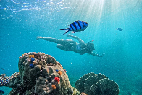 Ko Tao: Vintage Boat-Small Group Snorkeling Day Trip w/Meals