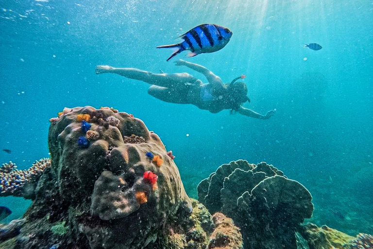 Ko Tao: Vintage Boat-Small Group Snorkeling Day Trip w/Meals