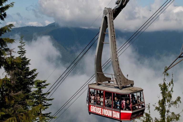 Chandragiri Cable Car Tour: Panoramic View Himalayan Horizon