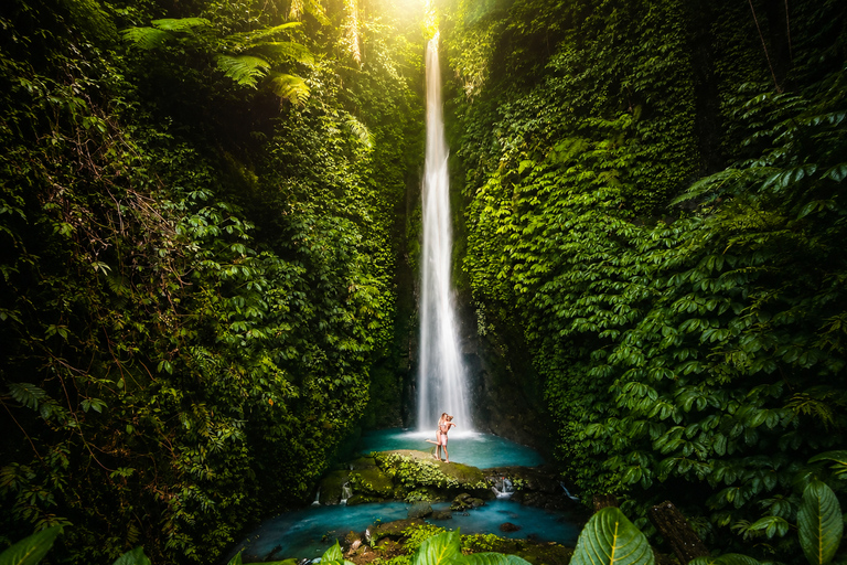 Bali: Monkey Forest, & Temple, With Waterfall, Swing Tour Private Tour Entry Ticket