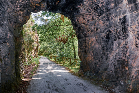 From Oviedo and Gijón: Day Trip to the Somiedo Lakes and the Senda del Oso From Gijón in Spanish: Trip to the Somiedo Lakes and Senda del Oso