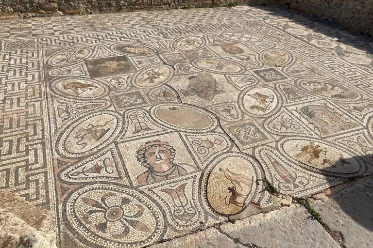 From Fes: Volubilis,Moulay Idriss&Meknes Day Trip with Guide Medium Group:Meknes,Volubilis, Moulay Idriss Guide in Meknes