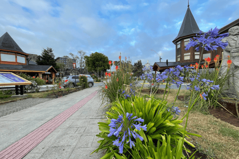 Puerto Varas: Half-Day City Tour, Puerto Montt Included