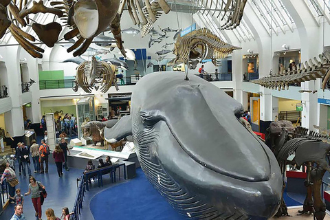 Discover London's Natural Wonders: Museum Expedition