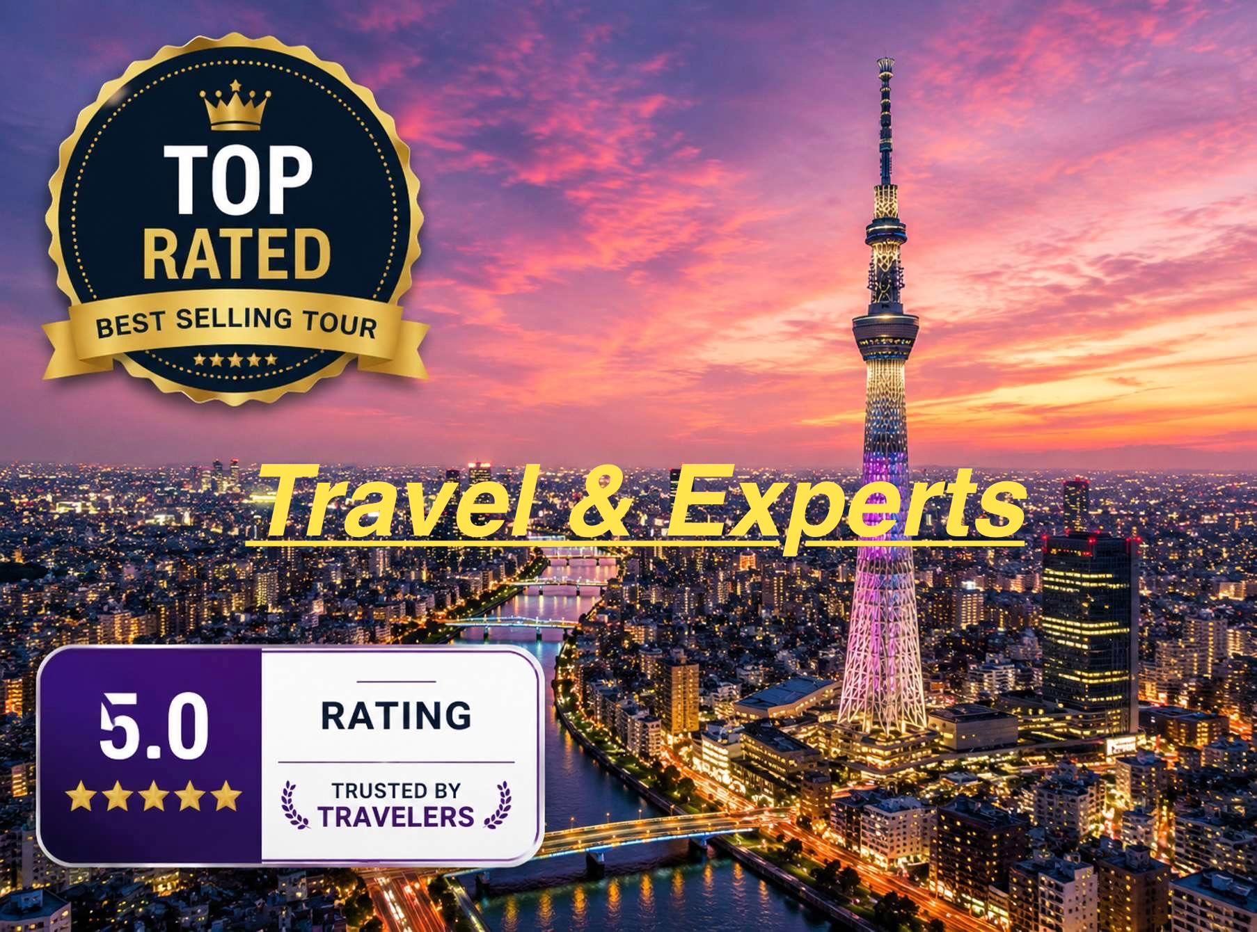 Tokio: Ganztägige Sightseeing-Städtetour in Tokio mit Fahrer/Guide