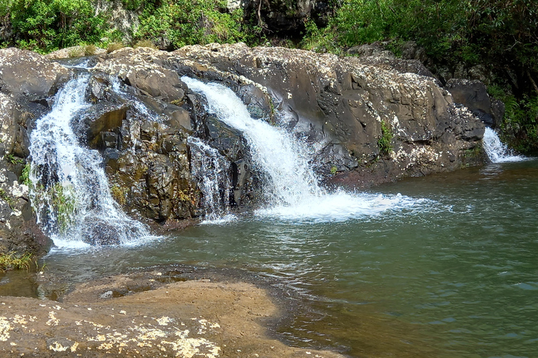 Tamarind Falls 7 Cascate (7 Cascades) di Mystik AdventureMezza giornata alle 7 cascate di Tamarind Falls con Mystik Adventure