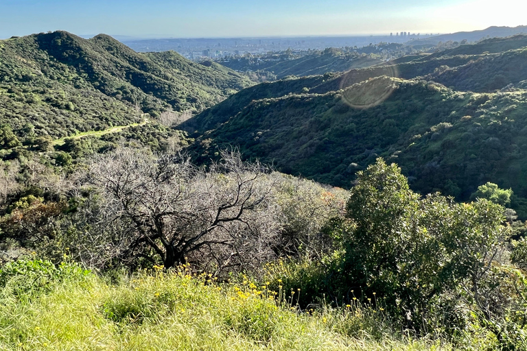 Los Angeles: The Premier Hollywood Sign Tour