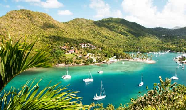 st. lucia rainforest and birdwatching tour