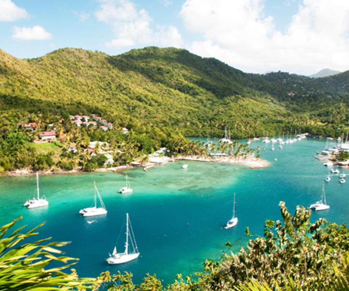 St. Lucia: Rainforest and Birdwatching Tour
