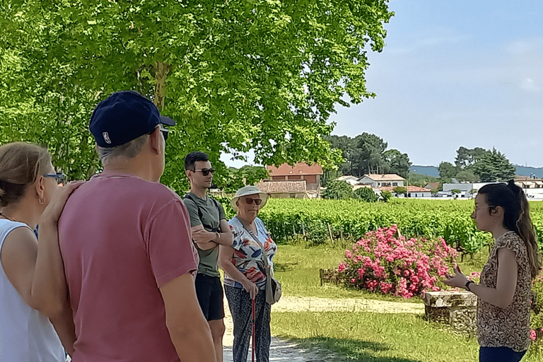 Desde Burdeos: Excursión de media jornada al viñedo de Graves con vino