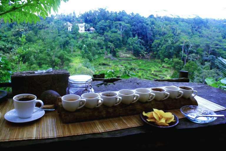 Avslöjande upplevelse Ubud, Penglipuran Village och vattenfallAvslöjande upplevelse Ubud för liten grupp