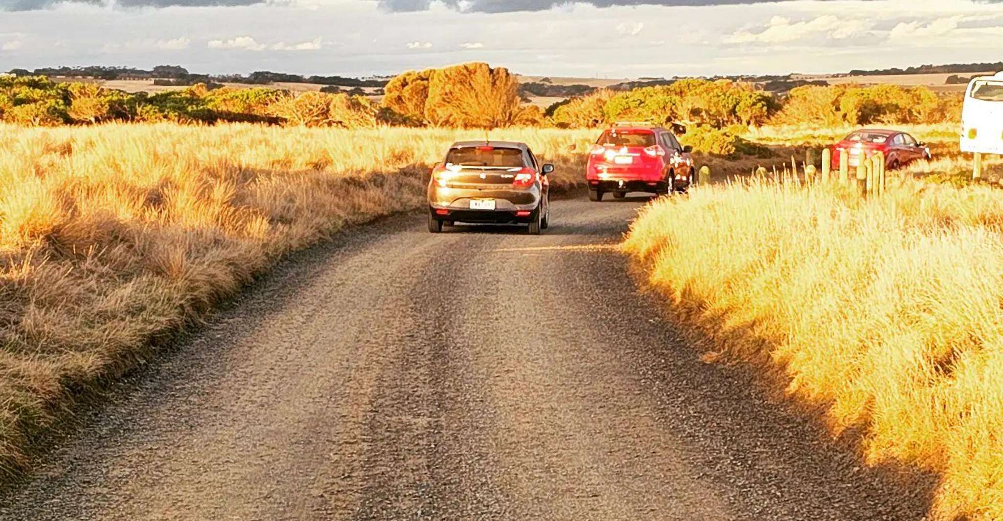 Melbourne: Boutique Phillip Island Wine, Dine & Penguin Tour photo 15