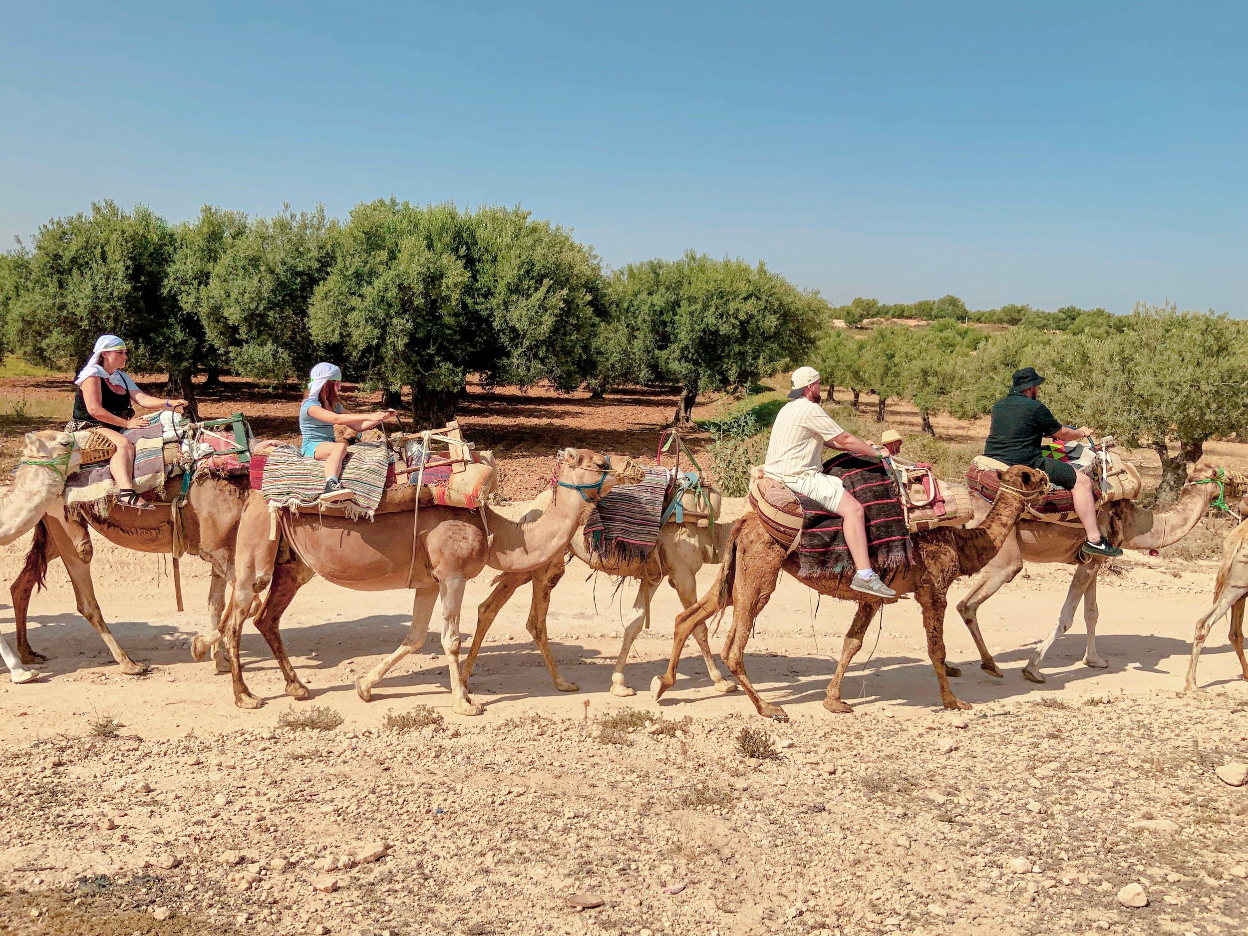 Sousse/Monastir: Kamelreiten mit Hotelabholung