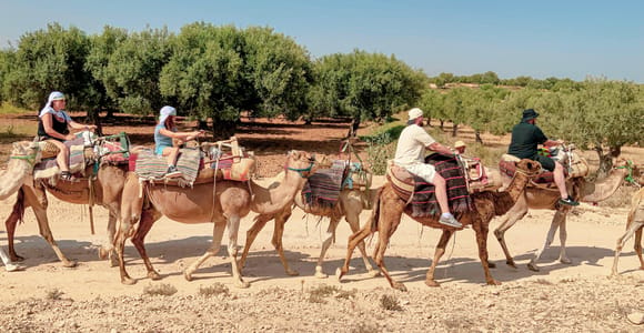 Sousse/Monastir: Camel Ride with Hotel Pickup