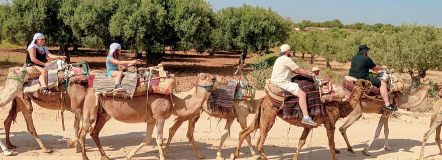 Sousse/Monastir : balade à dos de chameau avec prise en charge à l'hôtel