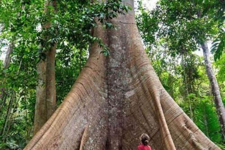 Iquitos: 4-Day Amazon Camp Jungle Tour Iquitos: 4-Day Amazon Camp Jungle Tour for 1 Person