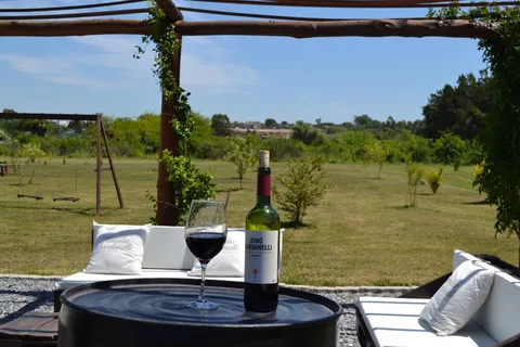 Visit Two Winery in one Day