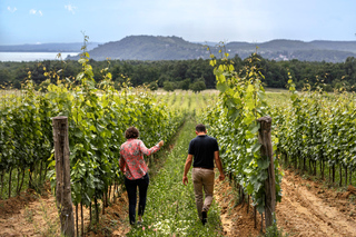 Balaton: Vineyard Tour & Wine Tasting