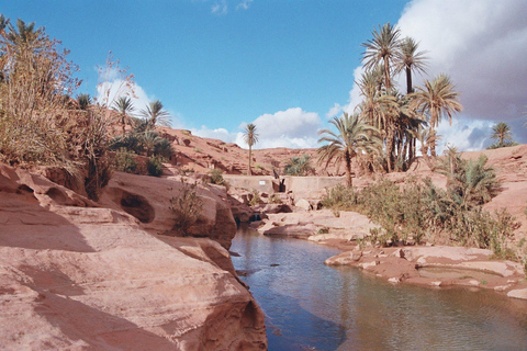 Agadir: Paradise Valley Early Morning Hike with Guide