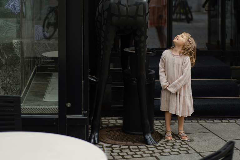 Servizio fotografico privato a piedi nel centro storico di Graz