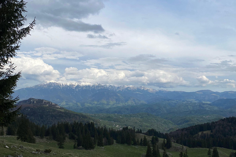 Brașov: Caminhada privada em Piatra Craiului até a cabana CurmaturaBrașov: Caminhada Privada de Piatra Craiului até a Cabana Curmatura