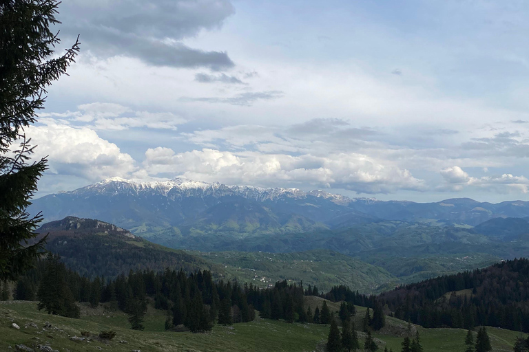 Brașov: Caminhada privada em Piatra Craiului até a cabana CurmaturaBrașov: Caminhada Privada de Piatra Craiului até a Cabana Curmatura