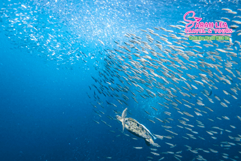 Boracay, Cebu, Coron, El Nido, & PPS: 15-Day Adventure Tour